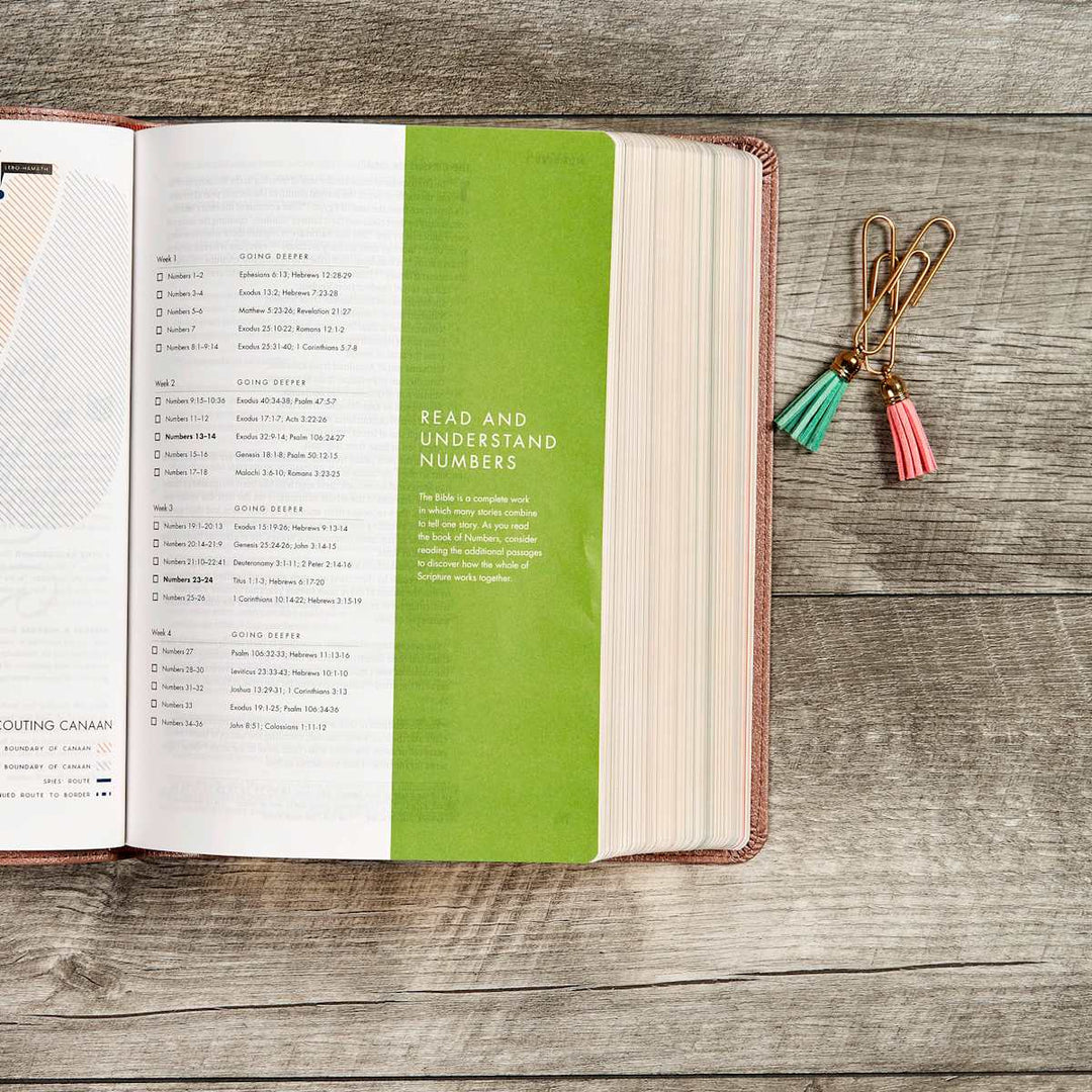 Lifeway - CSB She Reads Truth Bible, Rose Gold LeatherTouch