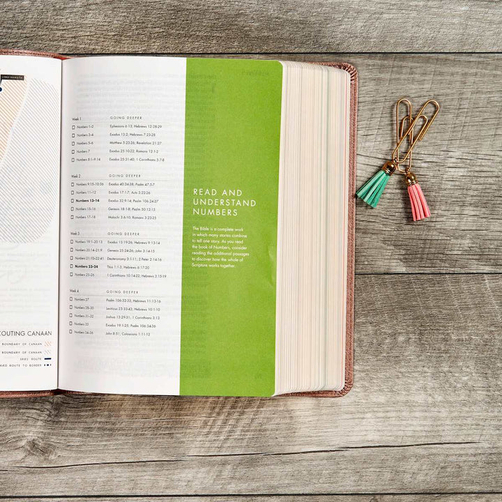 Lifeway - CSB She Reads Truth Bible, Rose Gold LeatherTouch