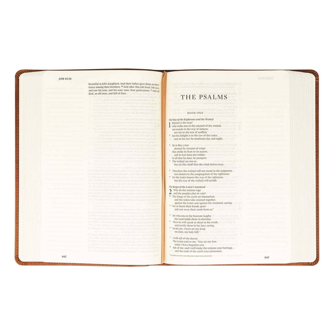 Hosanna Revival - ESV Large Print Journaling Bible: Sierra Theme