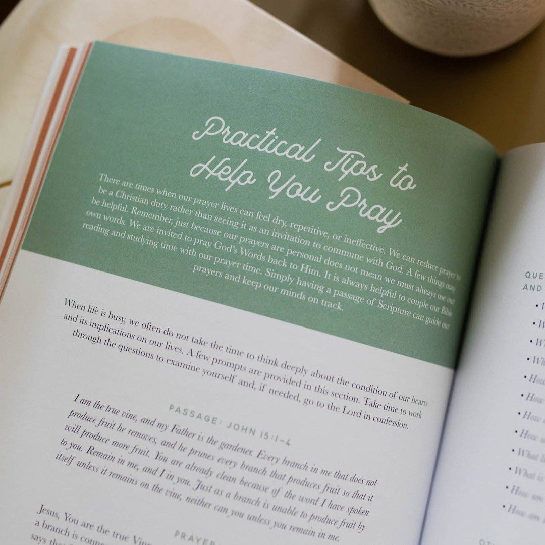 The Daily Grace Co - Growing in Grace Bible Study