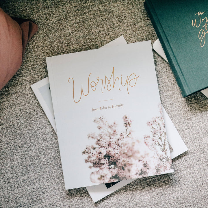 The Daily Grace Co - Worship Bible Study