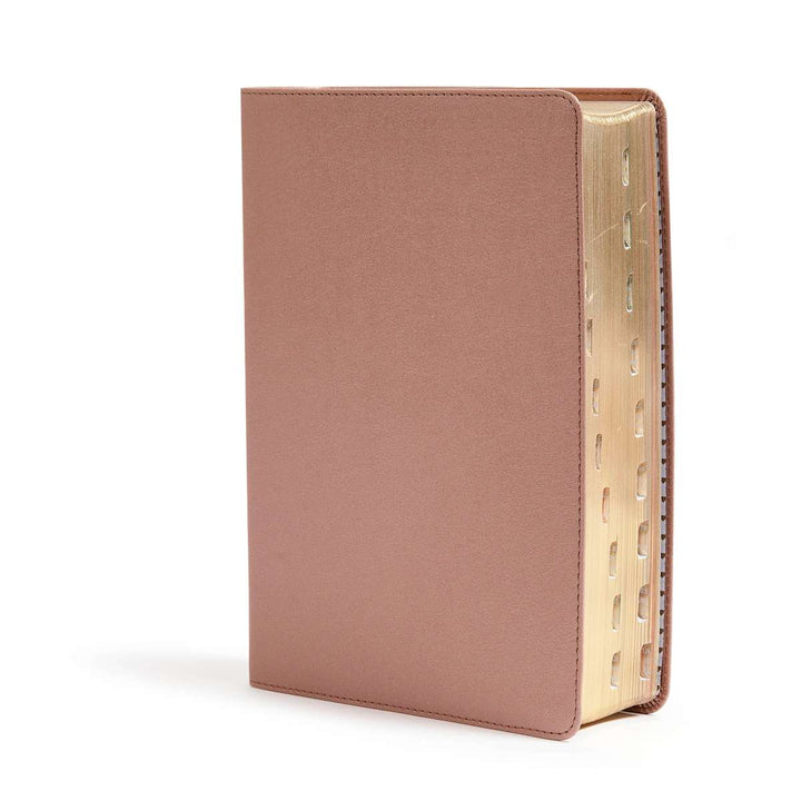 Lifeway - CSB She Reads Truth Bible, Rose Gold LeatherTouch, Indexed