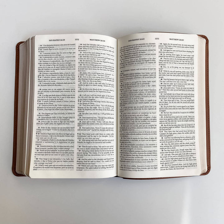 Joy Creative Bibles - ESV/RVR Bilingual Bible - La Santa Biblia