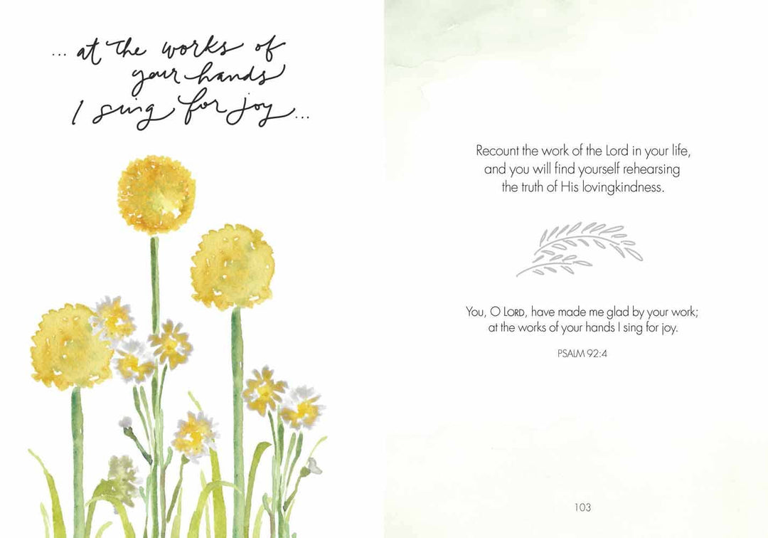 Harvest House Publishers Gift &amp; Specialty Books - Fields of Joy