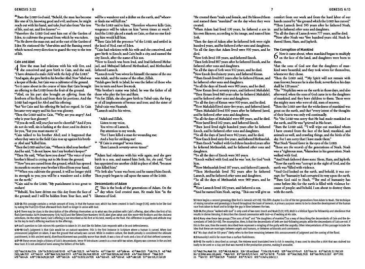 Barbour Publishing, Inc. - Light for Life NASB 2020 Study Bible [Golden Fields]