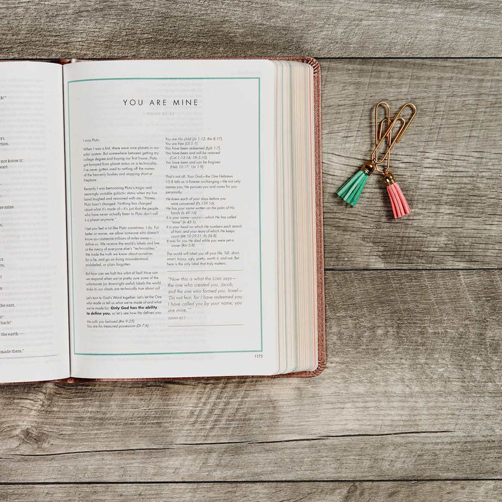 Lifeway - CSB She Reads Truth Bible, Rose Gold LeatherTouch