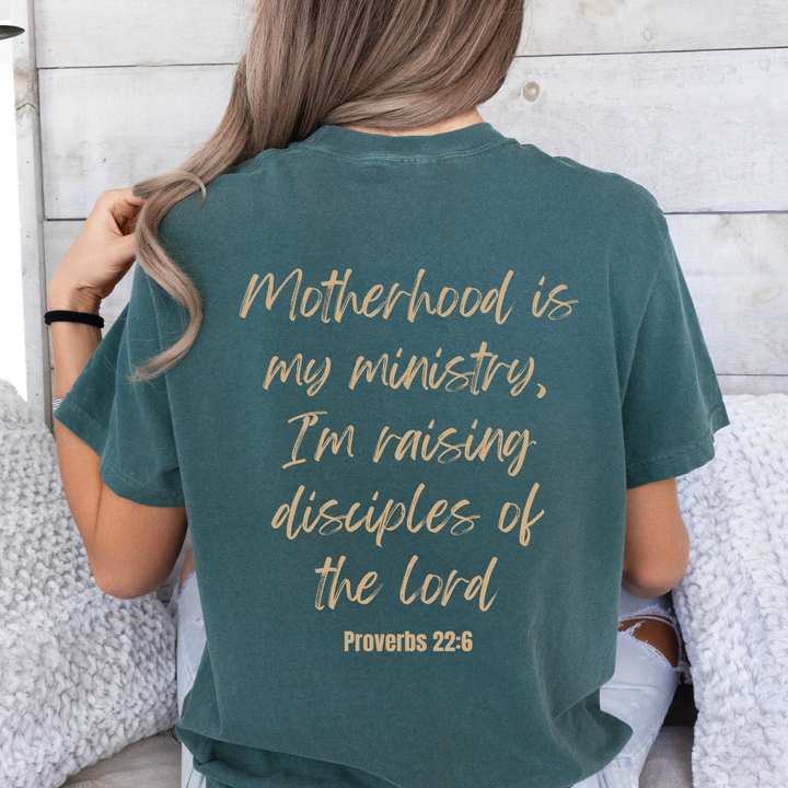 Proverbs 22:6 Graphic Tee - Christian Faith Tee - Summer Tee: Berry / Small
