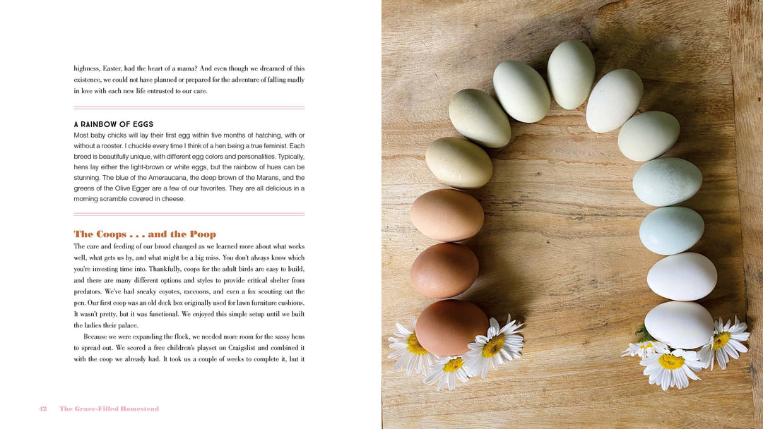 The Grace-Filled Homestead: Hardcover / English