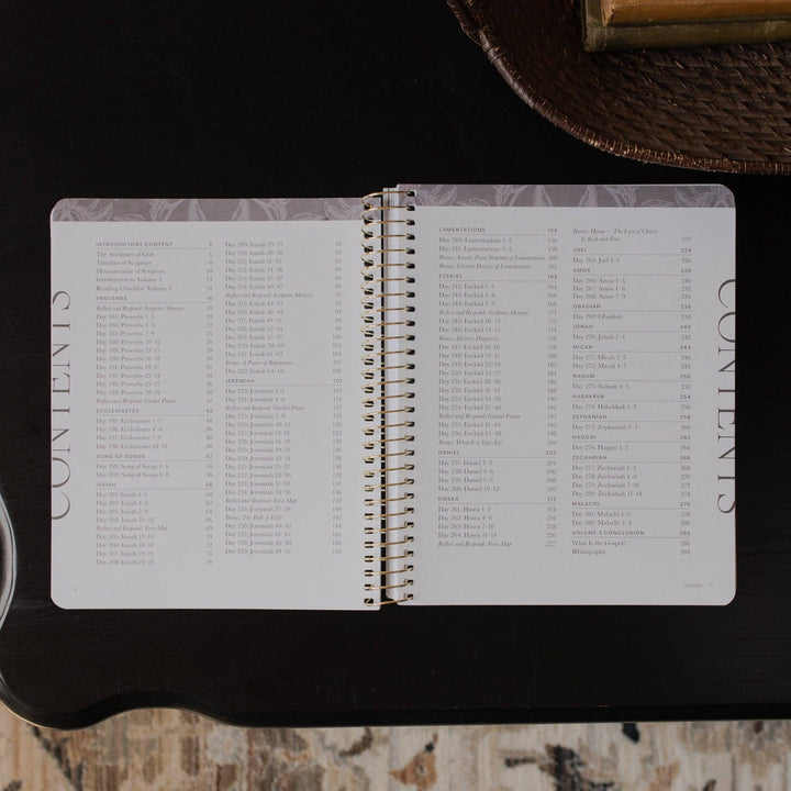A Year in the Bible | Volume 3 Bible Study