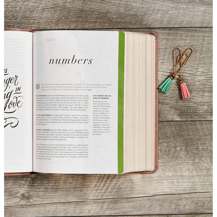 Lifeway - CSB She Reads Truth Bible, Rose Gold LeatherTouch