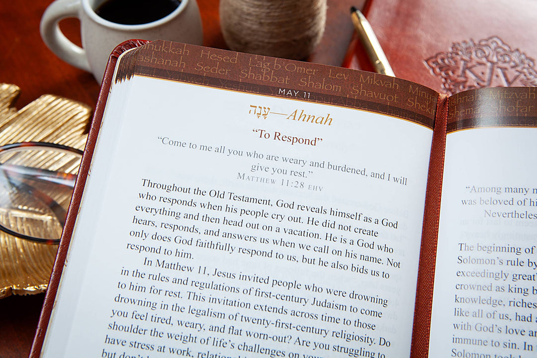 365 Hebrew Words Every Christian Should Know (Devotional)