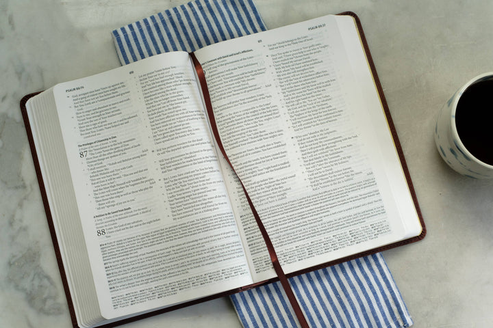 Barbour Publishing, Inc. - Light for Life NASB Study Bible (Mahogany Lighthouse)