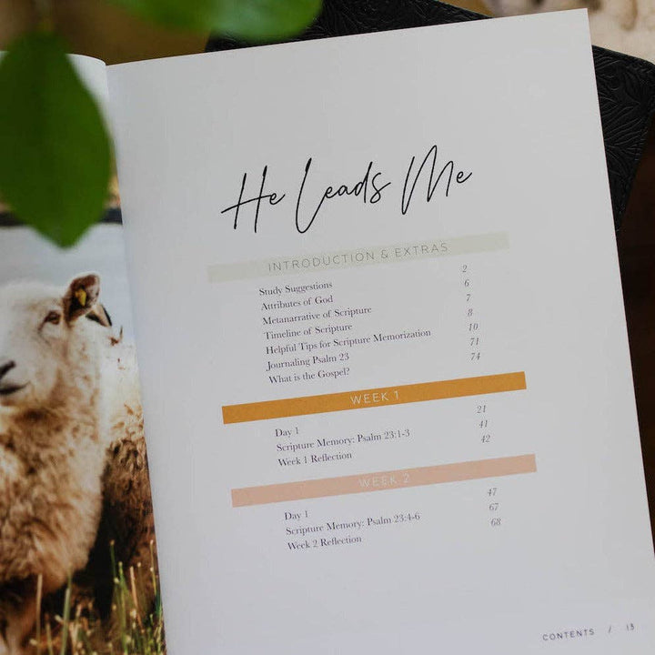 The Daily Grace Co - He Leads Me Bible Study