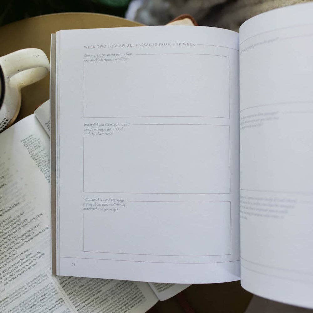 The Daily Grace Co - Peace for the Anxious Heart Bible Study