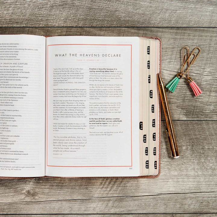 Lifeway - CSB She Reads Truth Bible, Rose Gold LeatherTouch, Indexed
