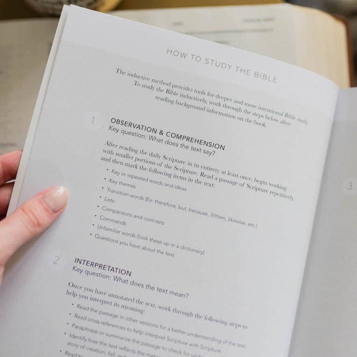 The Daily Grace Co - Peace for the Anxious Heart Bible Study