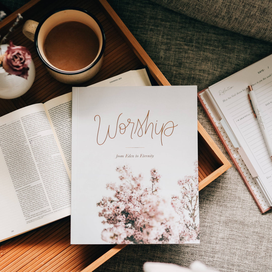 The Daily Grace Co - Worship Bible Study