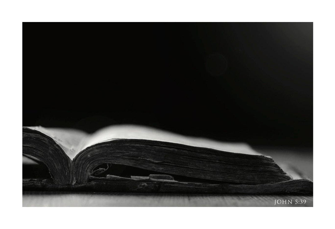 Revelation Culture - Prints | The Life of Jesus | Cross Crown Manger Tomb Bible