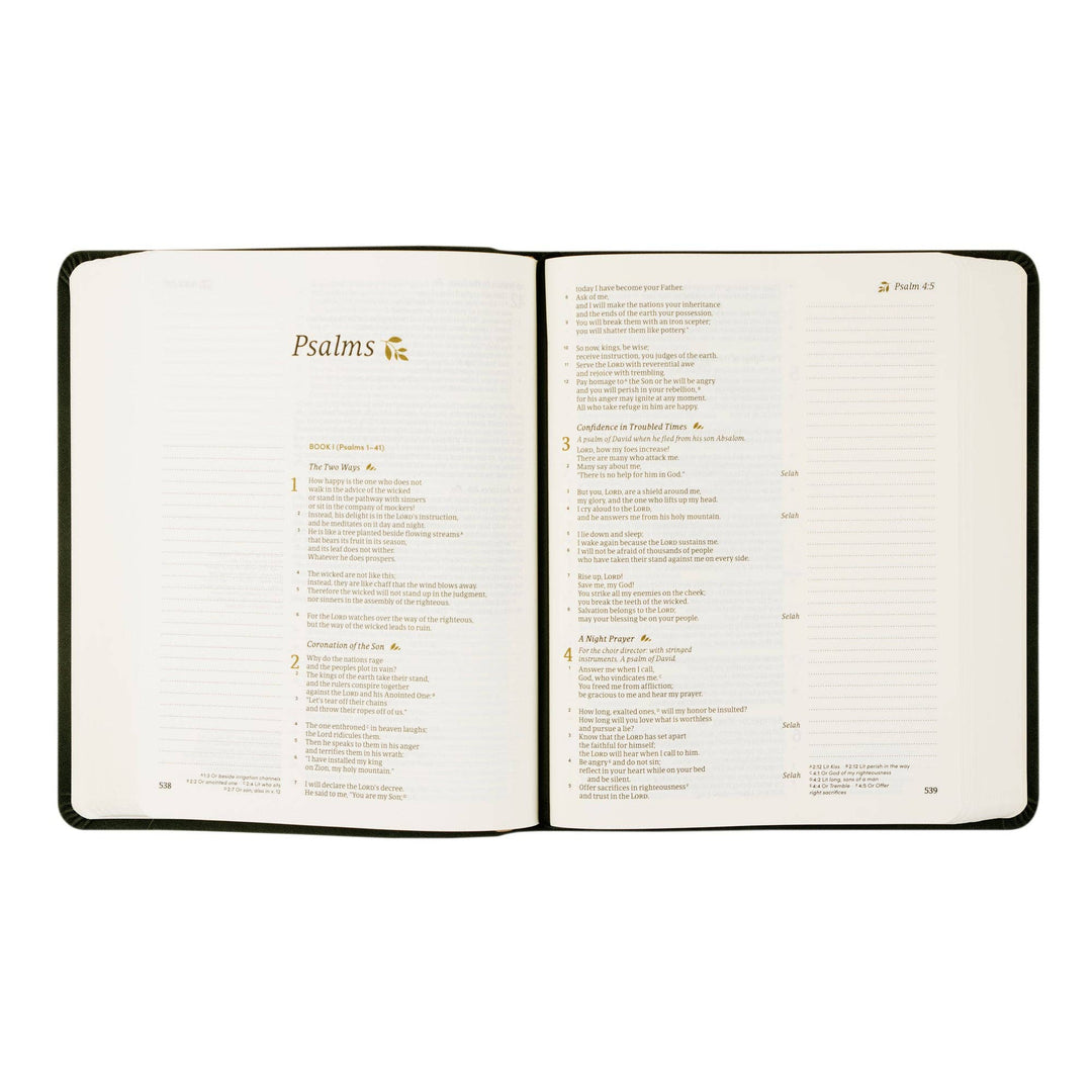 Hosanna Revival - CSB Notetaking Bible: Jerusalem Theme