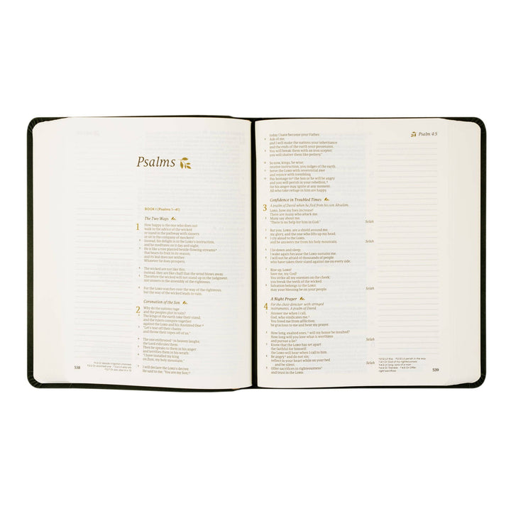 Hosanna Revival - CSB Notetaking Bible: Jerusalem Theme
