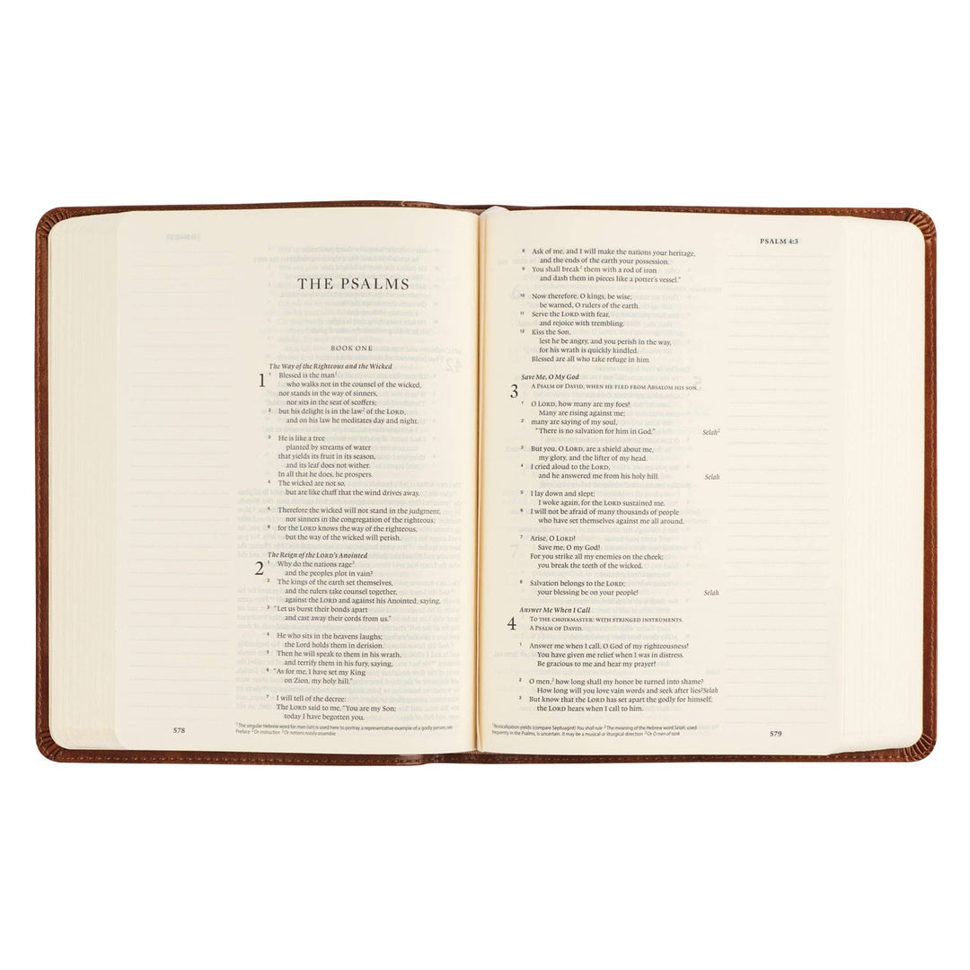 Hosanna Revival - ESV Single Column Journaling Bible: Sierra Theme