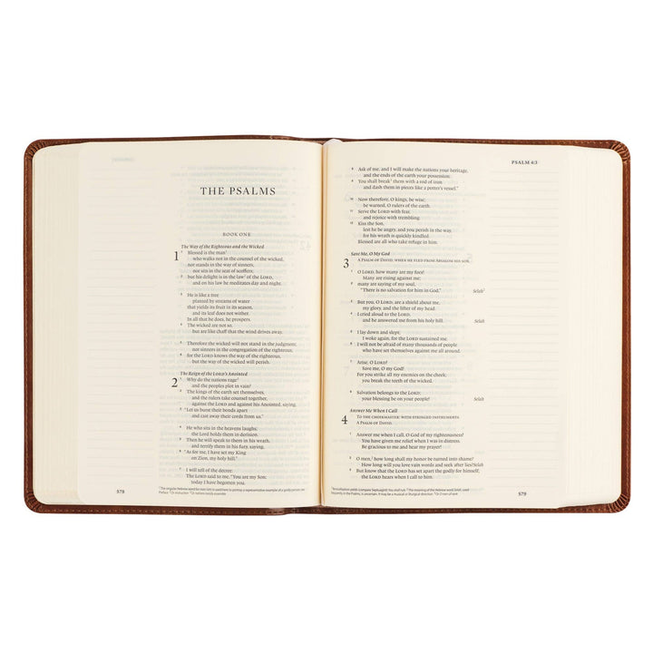 Hosanna Revival - ESV Single Column Journaling Bible: Sierra Theme