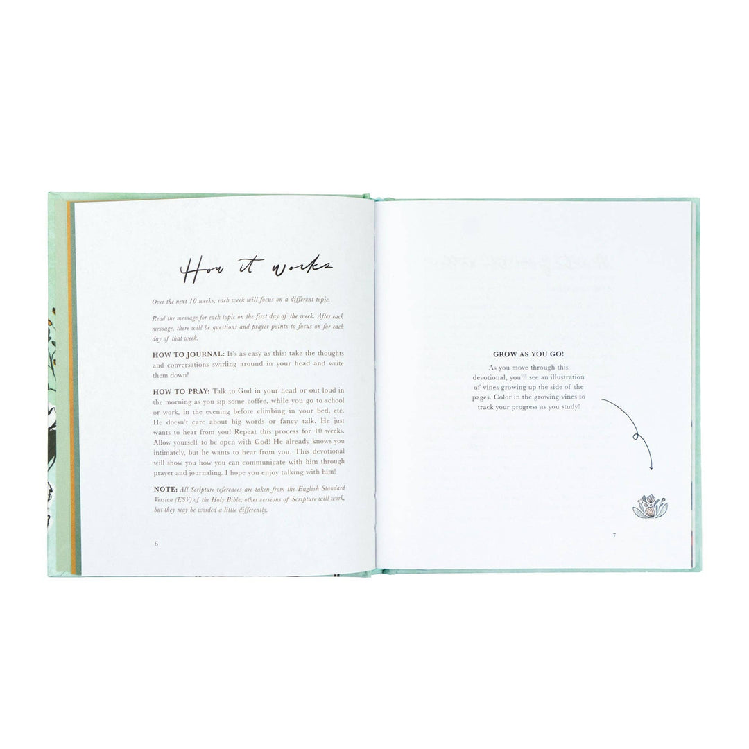 Bible Study: Rooted to Rise by Haley Crabtree
