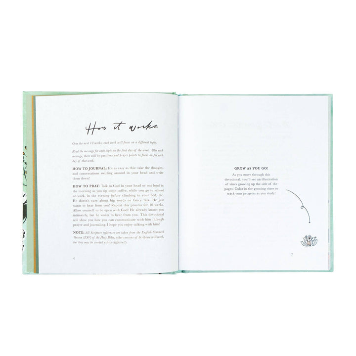 Bible Study: Rooted to Rise by Haley Crabtree