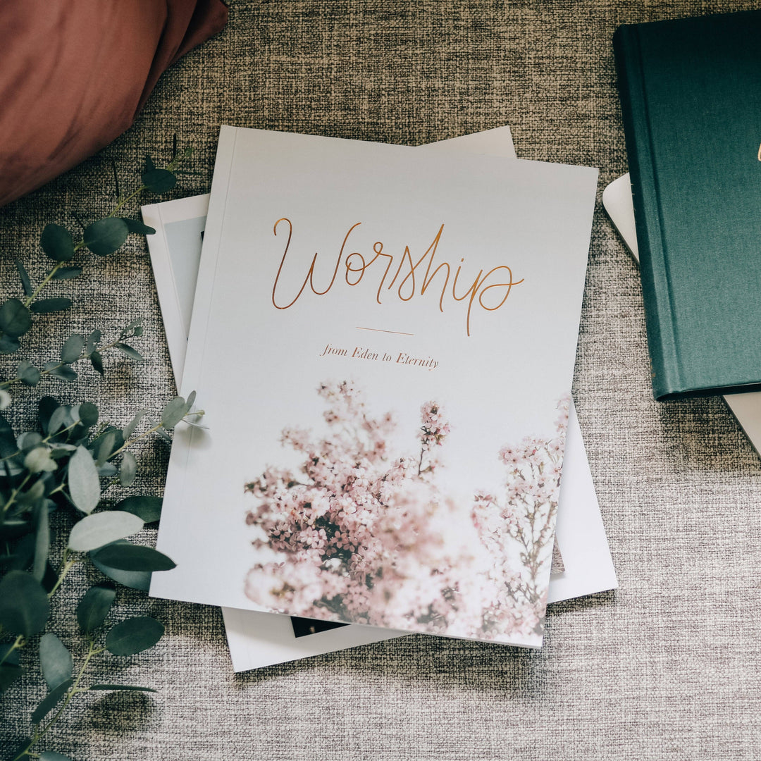 The Daily Grace Co - Worship Bible Study