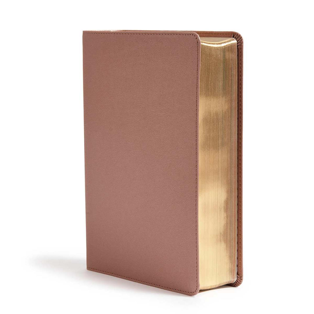 Lifeway - CSB She Reads Truth Bible, Rose Gold LeatherTouch