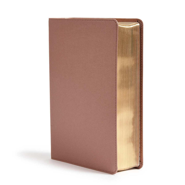 Lifeway - CSB She Reads Truth Bible, Rose Gold LeatherTouch