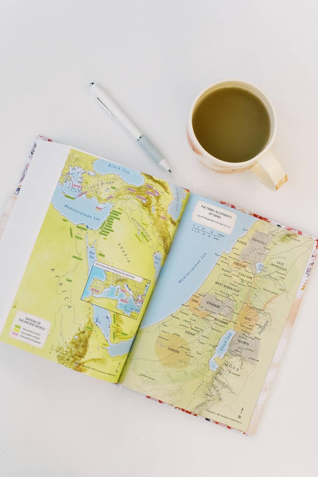 Barbour Publishing, Inc. - Light for Life NASB 2020 Study Bible [Golden Fields]