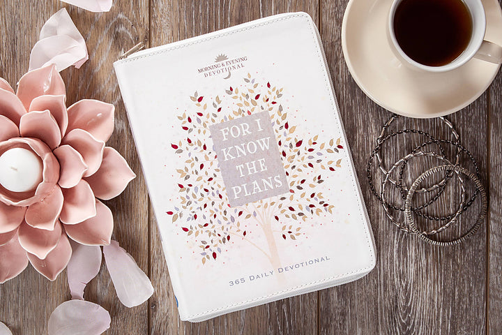 For I Know the Plans (Morning &amp; Evening Zip Devotional)
