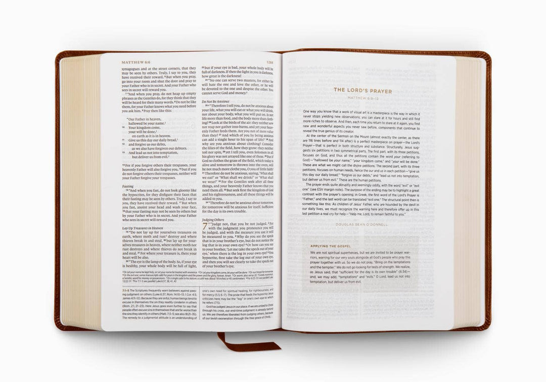 Crossway - ESV Applying the Gospel Study Bible for Men, TruTone®, Brown