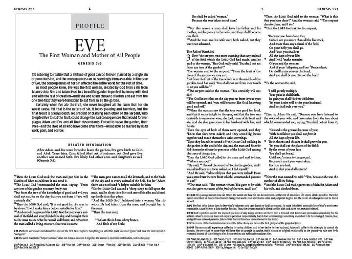 Barbour Publishing, Inc. - The Light for Life NASB 2020 Study Bible [Golden Caramel]