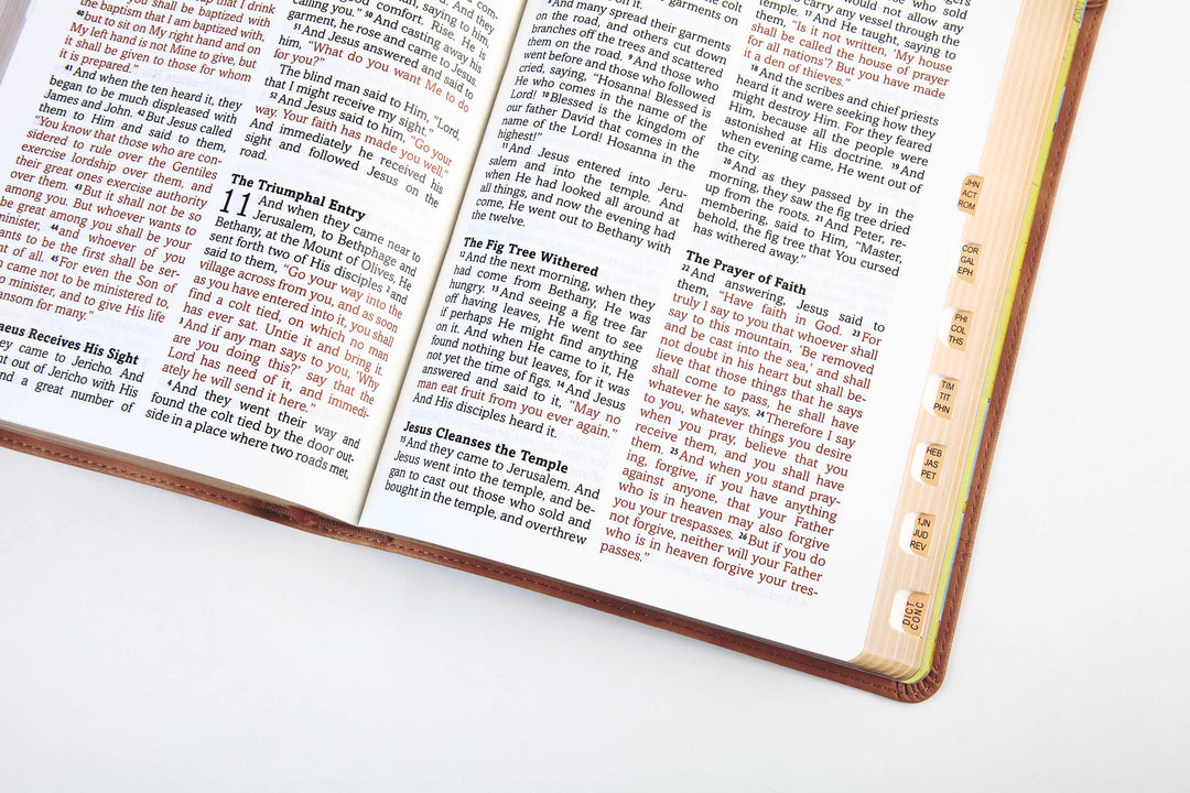 Barbour Publishing, Inc. - The Barbour Simplified KJV--Large Print [Rust &amp; Stone Cross]