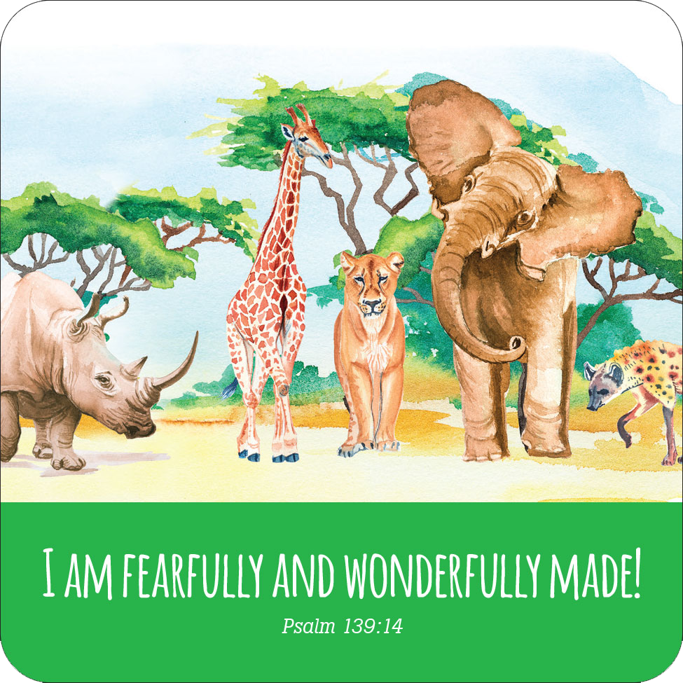 Peter Pauper Press - Scripture Lunch Box Notes for Kids! (Set of 60 Cards),Scripture Lunch Box Notes for Kids! (Set of 60 Cards)