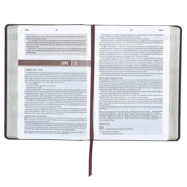 Christian Art Gifts - Devotional Bible NLT for Men Faux Leather Walnut Brown Cross
