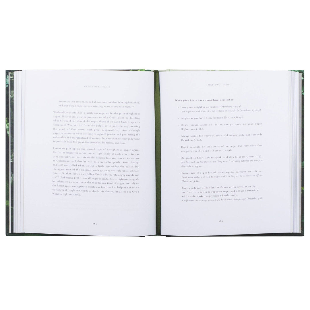 Bible Study: Unfold by Liesl Lamprecht