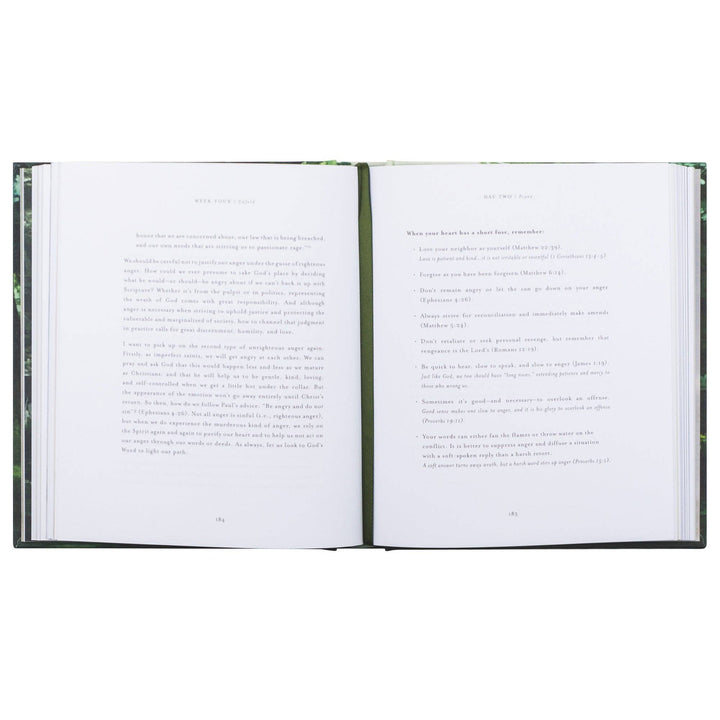 Bible Study: Unfold by Liesl Lamprecht