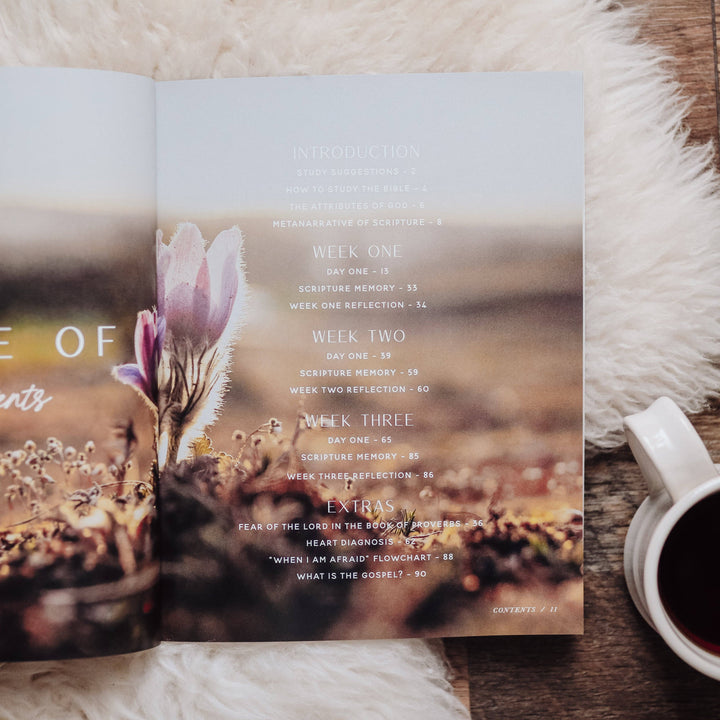 The Daily Grace Co - When Fear Meets Faith Bible Study