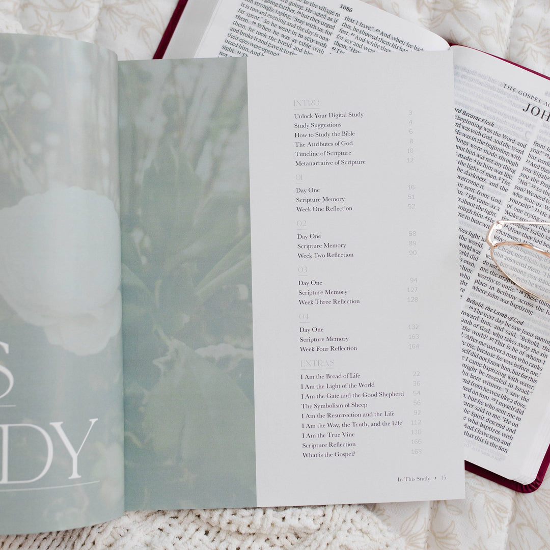 The Daily Grace Co - I Am Bible Study