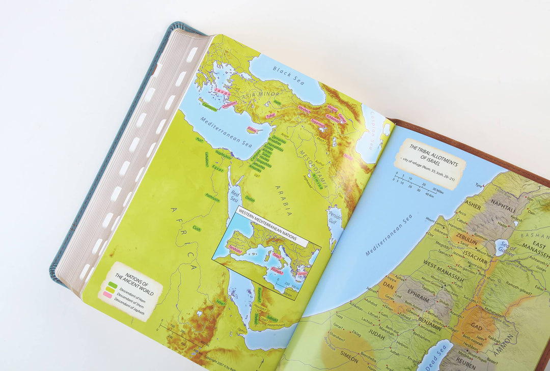 Barbour Publishing, Inc. - The Barbour Simplified KJV--Large Print [Rust &amp; Stone Cross]
