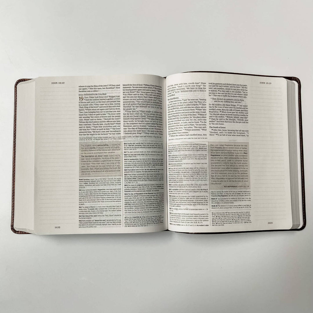 Joy Creative Bibles - ESV Journaling Study Bible - John 3:16