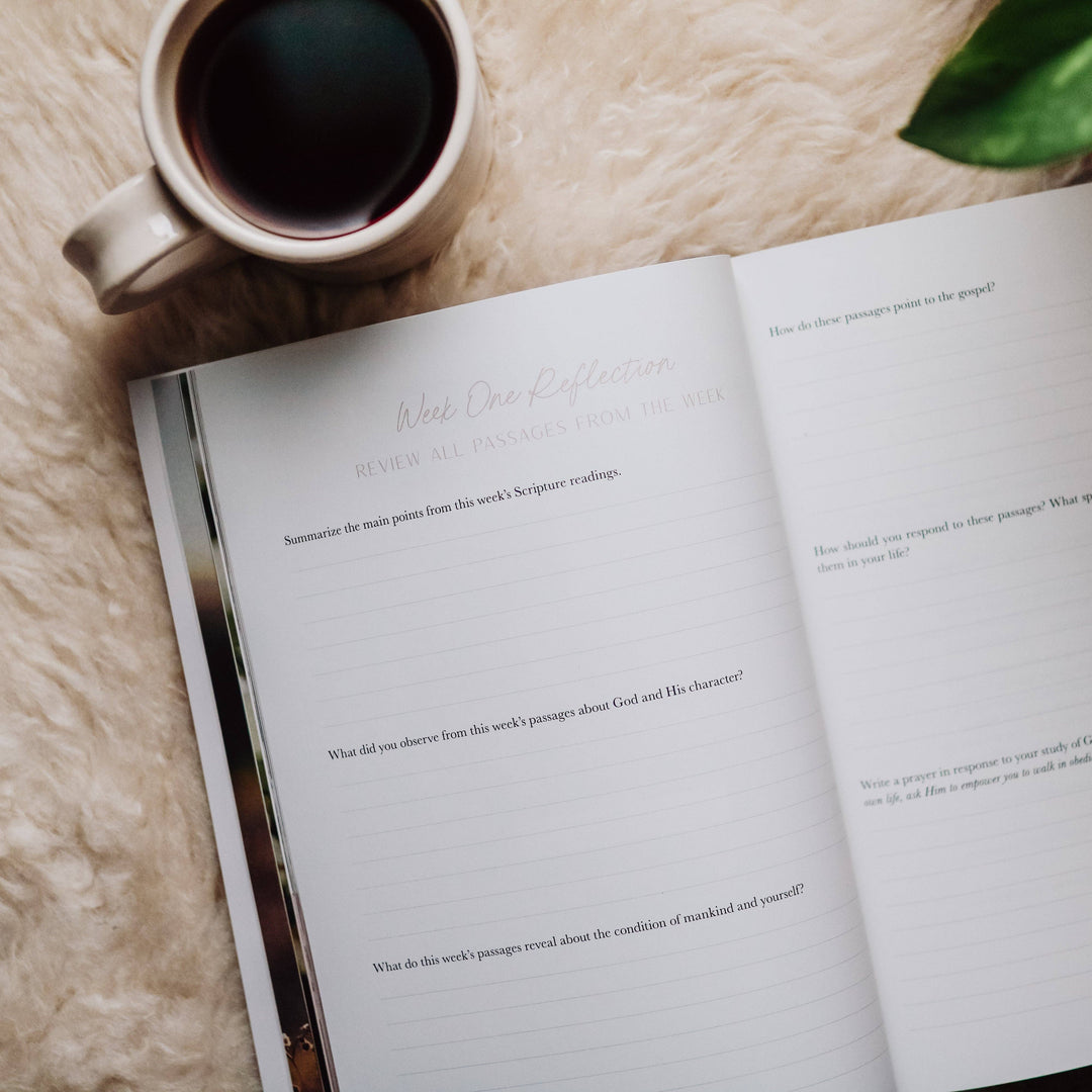 The Daily Grace Co - When Fear Meets Faith Bible Study
