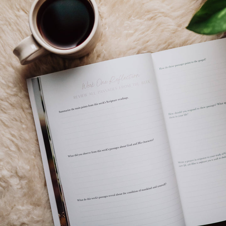 The Daily Grace Co - When Fear Meets Faith Bible Study