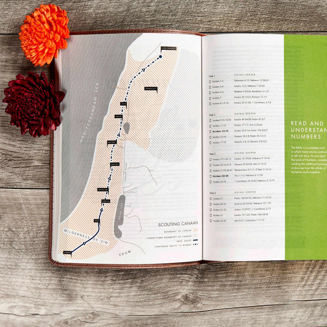 Lifeway - CSB She Reads Truth Bible, Rose Gold LeatherTouch