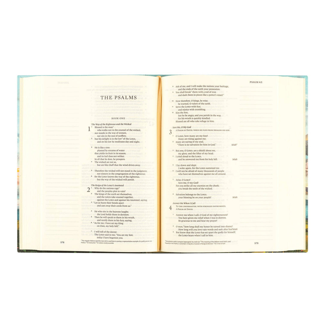 ESV Journaling Bible: Santa Lucia Theme