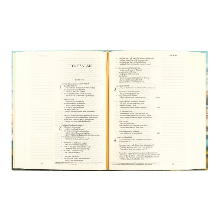 ESV Journaling Bible: Santa Lucia Theme