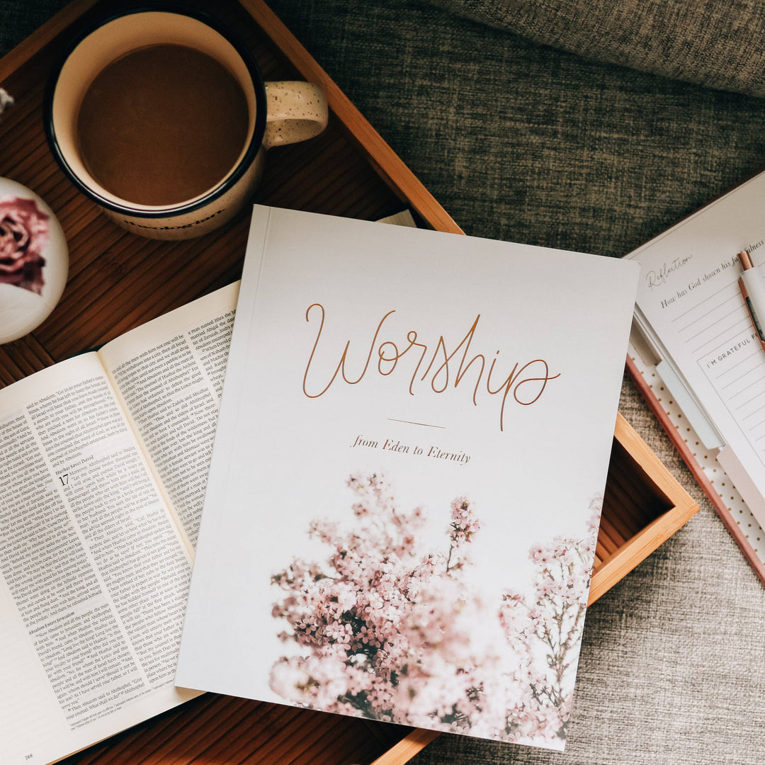 The Daily Grace Co - Worship Bible Study